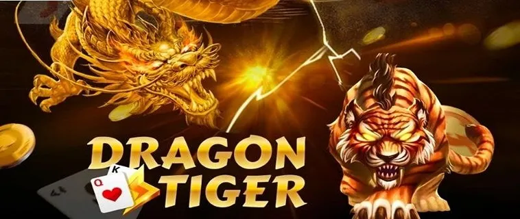 Bí Quyết Tham Gia Dragon Tiger Nhà Cái Empire777 Hiệu Quả